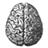 Virus de la mente [Conferencia: Daniel Dennet]
