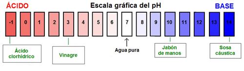 Escala gráfica del pH